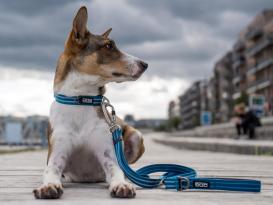 Dog Copenhagen Urban Freestyle V2 Hundeleine Black 4