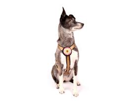 Style Snout Sicherheitsgeschirr Patch & Safe Gold M 4