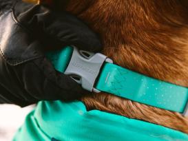 Ruffwear Confluence reflektierendes Hundehalsband Aurora Teal 36-51 cm 4