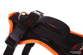 Grossenbacher Hundegeschirr Dogs FunRun Standard XXL 4