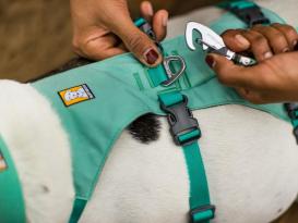 Ruffwear® Flagline™ 2.0 Hundegeschirr Sage Green L/XL 4