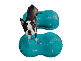 FitPAWS® FlexiPAWS® Cloud B-Ware 4