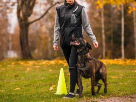 Rukka Pets Trainingsweste für Hundesportler L 4