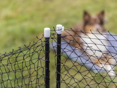 57+ Mobiler Hundezaun Für Große Hunde, Damit die auswahl für dich