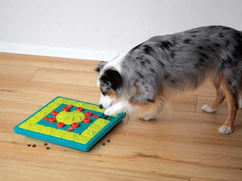 Nina Ottosson Hundespielzeug Level 4 Multipuzzle