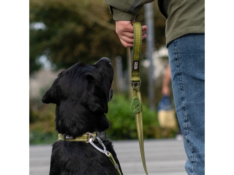 Dog Copenhagen Flexy™ Kotbeutelhalter Hunting Green