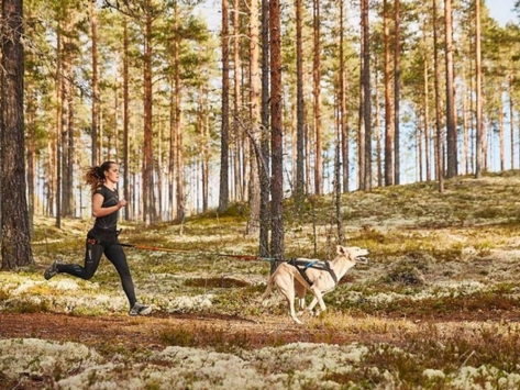 Non-Stop Dogwear Jogginggurt CaniX Belt für Hundehalter