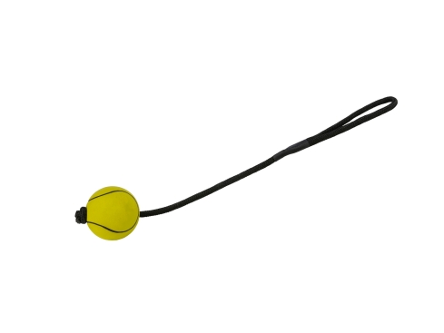 Sportball am Seil aus Moosgummi für Hunde