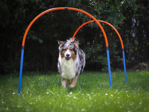 Hoopers Bogen Set aus Kunststoff ohne Mittelstrebe