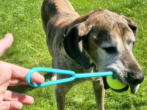 Moby Hundeball groß blau