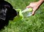 Trinkflasche Leaf  mit Napf für Hunde 4
