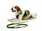 Wolters Hundegeschirr Professional Comfort champagner 4