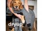 Dryup Body zip.fit Hundebademantel anthrazit 4