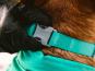 Ruffwear Confluence reflektierendes Hundehalsband Aurora Teal 4