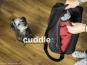 Cuddle up® - Der wandelbare Hundeliegeplatz 4