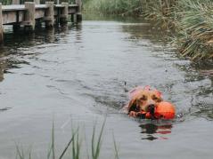 Hunter Schwimmweste Moss für Hunde 5
