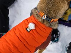 Ruffwear Powder Hound™ Winterjacke für Hunde Persimmon Orange 5