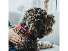 Hunter Divo Hundehalsband rot/grau 5