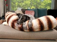 Style Snout große kuschelweiche Schlaf-Schlange für Hunde 5