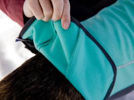 Ruffwear Undercoat™ Hunde-Neoprenanzug Aurora Teal XL 5