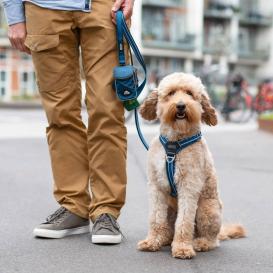 Dog Copenhagen Comfort Walk Air V3 Hundegeschirr Ocean Blue S 5