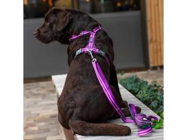 Dog Copenhagen Comfort Walk Air V3 Hundegeschirr Purple Passion XS 5