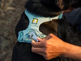 Ruffwear Front Range™ 3.0 Hundegeschirr River Rock Green S 5