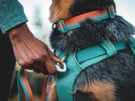 Ruffwear Front Range™ Hunderucksack 2.0 River Rock Green XS 5