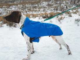 Ruffwear Vert Winter-Hundejacke Blue Pool 5