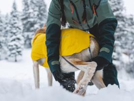 Ruffwear Vert Winter-Hundejacke Mineral Yellow 5