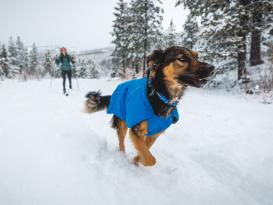 Ruffwear Top Rope™ 2.0 Hundehalsband mit Metalllverschluss Blue Pool 5