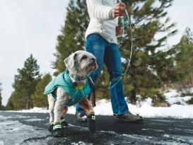 Ruffwear Front Range™ 3.0 Hundeleine Sweeping Sage 5