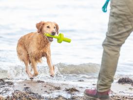 Aqua Toy MOT® Aqua Wasserspielzeug für Hunde 5