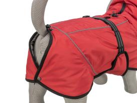 Hunde-Wintermantel Explore Thermo 55 cm 5