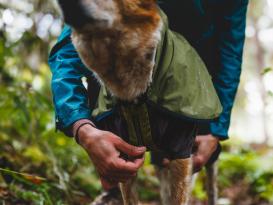 Ruffwear Sun Shower™ Coverall Regenschutz für Hunde Midnight Blue 5