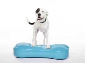 FitPAWS® Giant K9  FITbone™ violett 5