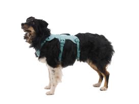 Ruffwear Web Master™ Hundegeschirr 2.0 River Rock Green XS 5