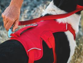 Ruffwear Web Master™ Hundegeschirr 2.0 Red Canyon S 5