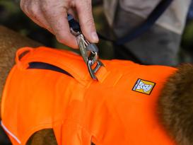 Ruffwear Web Master™ Hundegeschirr 2.0 Blaze Orange XXS 5
