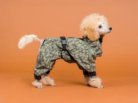 Paikka reflektierender Hunde-Regenanzug grün 5