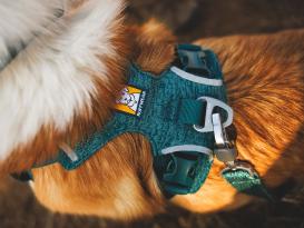 Ruffwear Front Range Flex Hundegeschirr Deep Teal 5