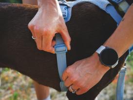 Ruffwear Front Range Flex Hundegeschirr Polar Blue XXS 5