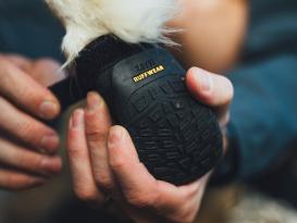 Ruffwear Ridgeline™ Hundeschuhe Obsidian Black 5