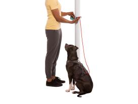 Ruffwear Hitch Hiker Hundeleine Red Currant 5