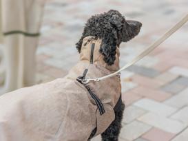 Winter Hundemantel Riom sand 5