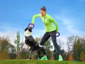 Puller Dog Fitness Tool interaktives Hundespielzeug 5
