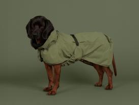 Paikka reflektierende Shell Hunde-Regenjacke Olivgrün 5