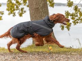 BE NORDIC Hundewintermantel Hamburg schwarz 5