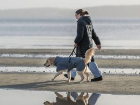 Wasserdichter Hundemantel Explore Light mit Thinsulate™-Wattierung 5