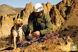Ruffwear Hundegeschirr Doubleback™ Trekking Bergsteiger 5